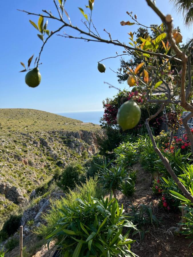 Baglio Cracchiolo Da Tuzzo - Casa Il Limone Lägenhet San Vito Lo Capo Exteriör bild